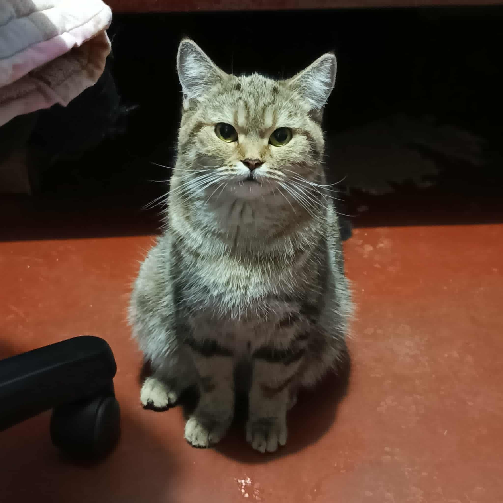Luni